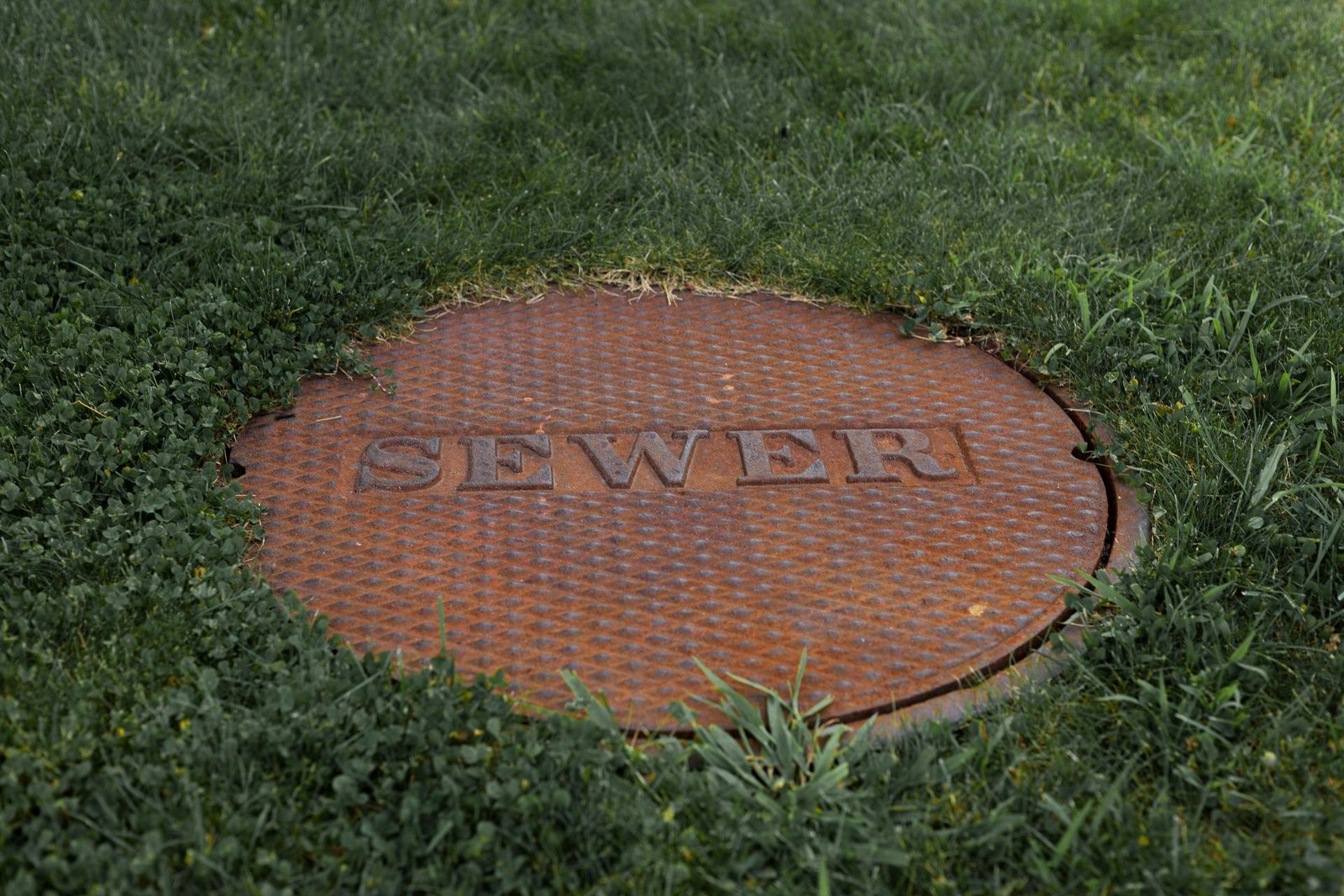 Drain Cleaning vs. Sewer Line Problems: How to Tell the Difference