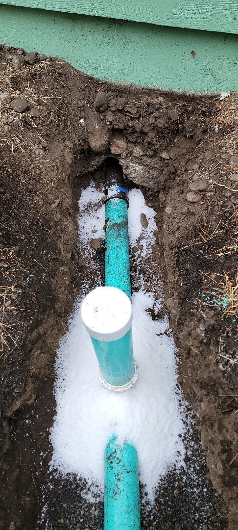 Green PVC sewer pipe running through a narrow trench beside a house’s green siding, with a white-capped cleanout riser standing up from it