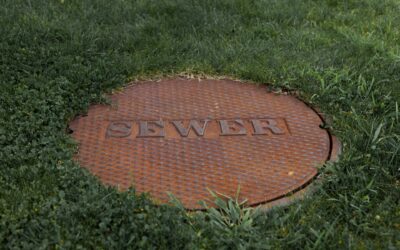 Drain Cleaning vs. Sewer Line Problems: How to Tell the Difference
