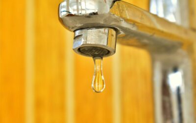 Why Ignoring a Dripping Faucet Can Cost Tacoma Homeowners Big