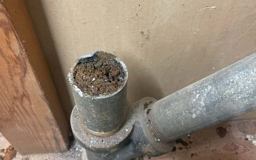 Case Study: Resolving Kitchen Sink Drain Issues in Tacoma WA