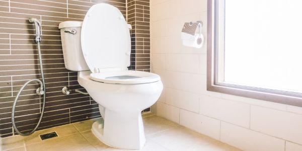 A white toilet in a sunlit bathroom