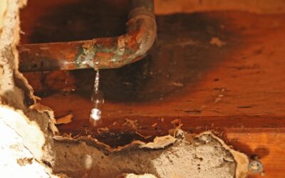 Unexplained Water Use, Stains, or Dampness: What It Means and When to Call a Plumber